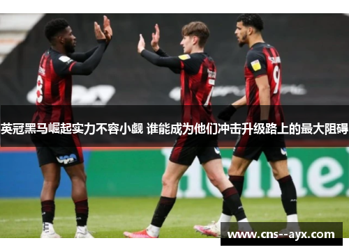 英冠黑马崛起实力不容小觑 谁能成为他们冲击升级路上的最大阻碍