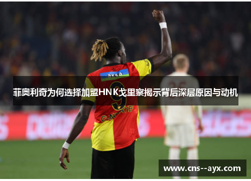 菲奥利奇为何选择加盟HNK戈里察揭示背后深层原因与动机