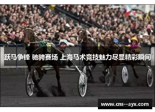 跃马争锋 驰骋赛场 上海马术竞技魅力尽显精彩瞬间 跃马争锋 驰骋赛场 上海马术竞技魅力尽显精彩瞬间