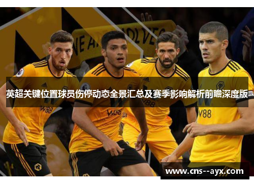 英超关键位置球员伤停动态全景汇总及赛季影响解析前瞻深度版