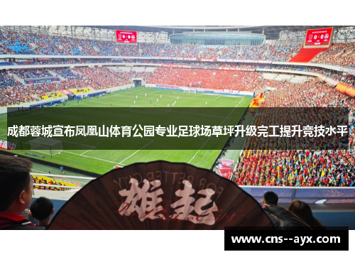 成都蓉城宣布凤凰山体育公园专业足球场草坪升级完工提升竞技水平